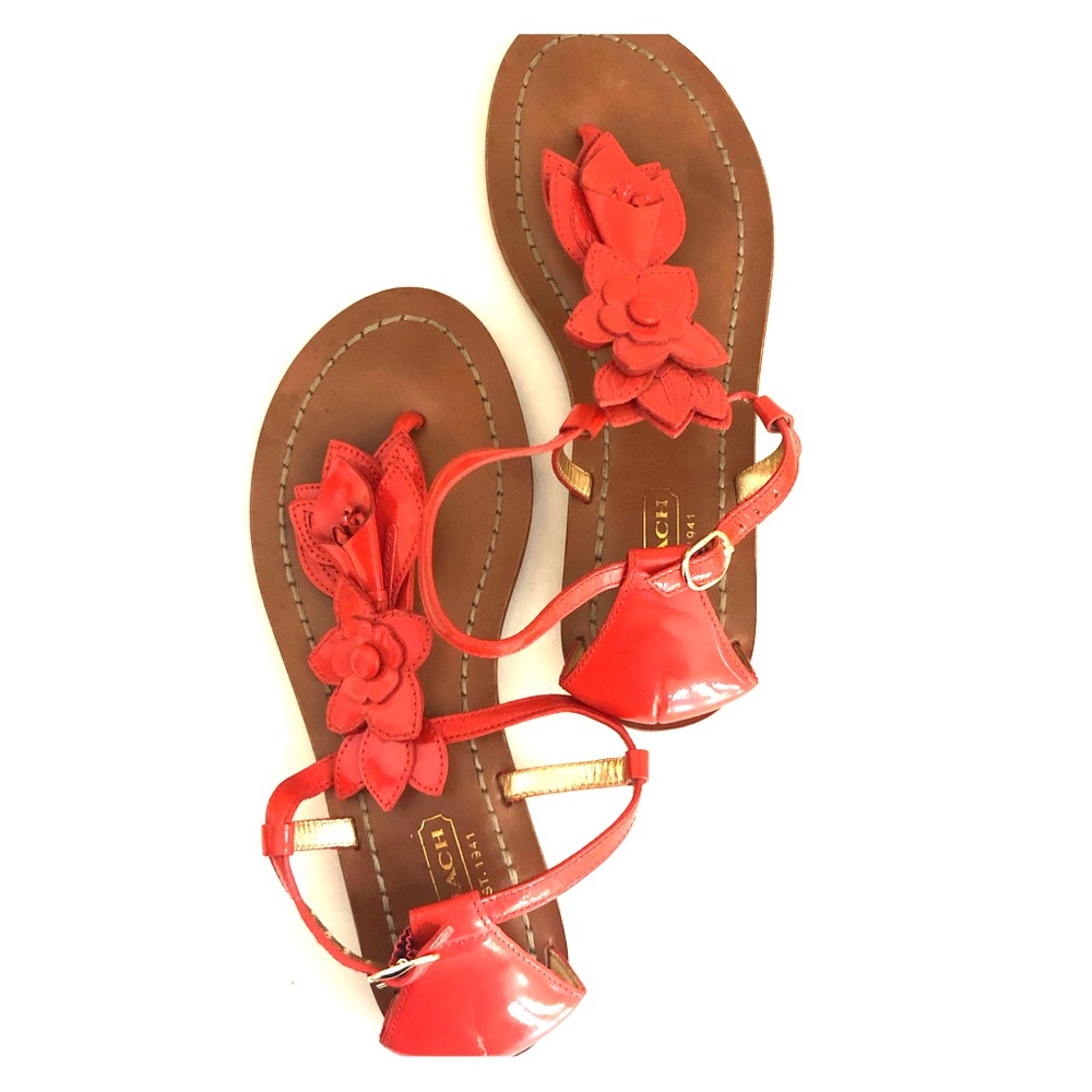 EUC Coach Sierra Floral Ankle Strap Sandal